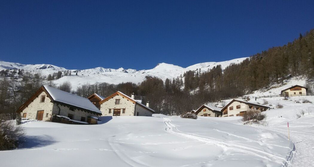 Alp Murtera Dadaint – Munt – Ardez (oua_32231623_image)