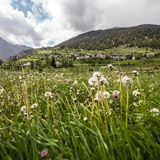 Ramosch - Sur En (oua_32258128_image)