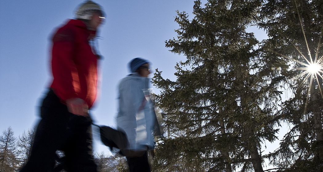 Zernez – Costetta (Rundtour) (oua_32331646_image)