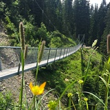 Imposant schwingt sich die Brücke 70 Meter weit über das Tobel.