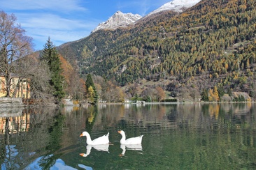 Lago di Poschiavo