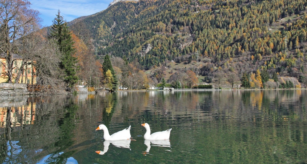 Lago di Poschiavo