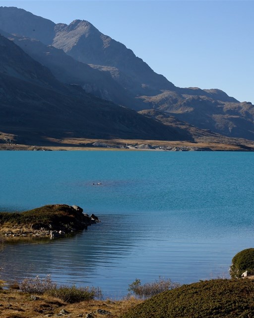 Lago Bianco