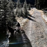 Horseback riding tour Isel