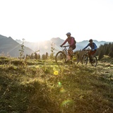 323 Alp Valpun (oua_32681837_image)