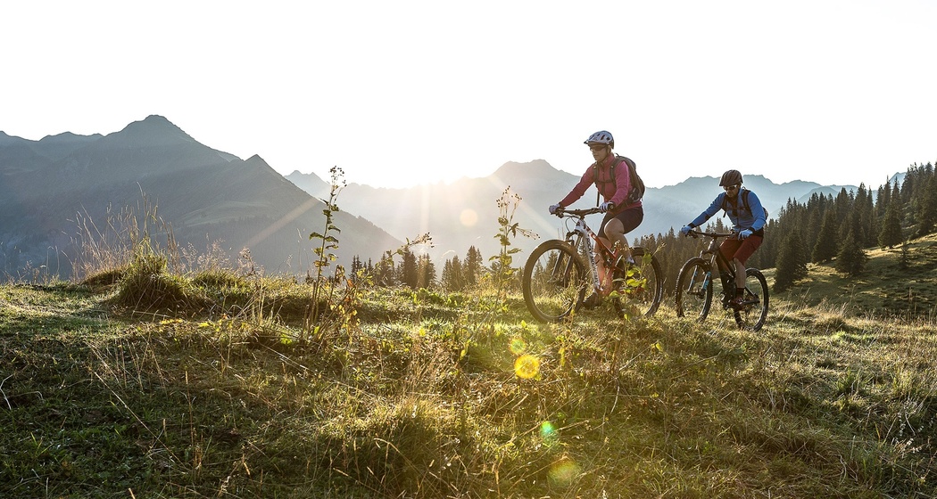 323 Alp Valpun (oua_32681837_image)