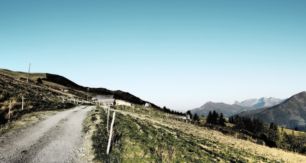 323 Alp Valpun (oua_32681848_image)