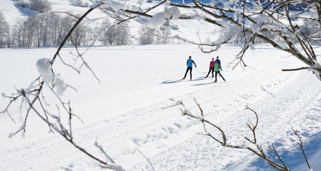 271 Sursetter - Loipe (oua_32763605_image)