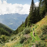 Lago Bianco - San Romerio - Miralago (oua_32785076_image)