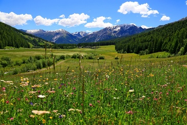 Blick auf Fuldera im Val Müstair.