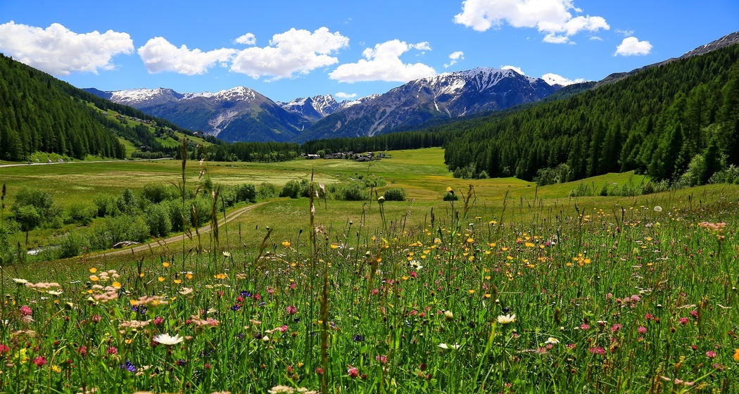 Blick auf Fuldera im Val Müstair.
