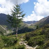 Percorso panoramico Darlux (oua_33182246_image)