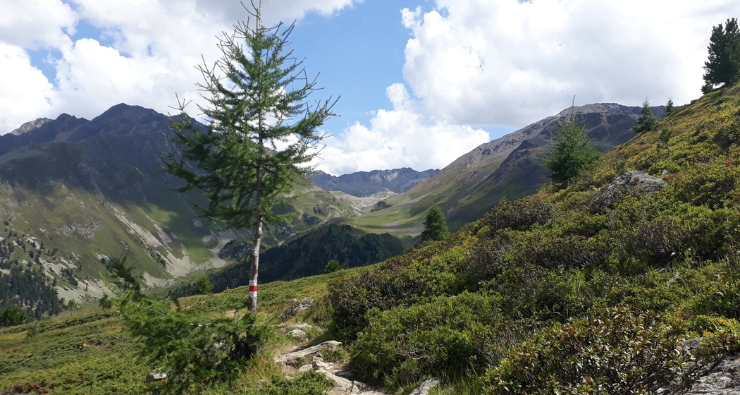 Panoramaweg Darlux (oua_33182246_image)