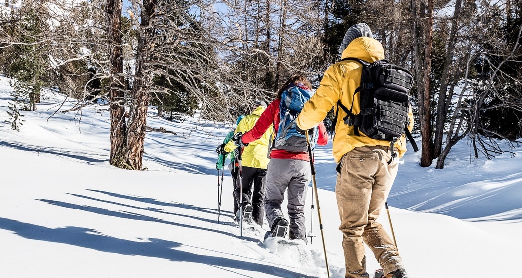 Lavin – Plan dal Bügl (Rundtour) (oua_33305360_image)