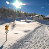 Maloja - Isola - Maloja (oua_33367944_image)