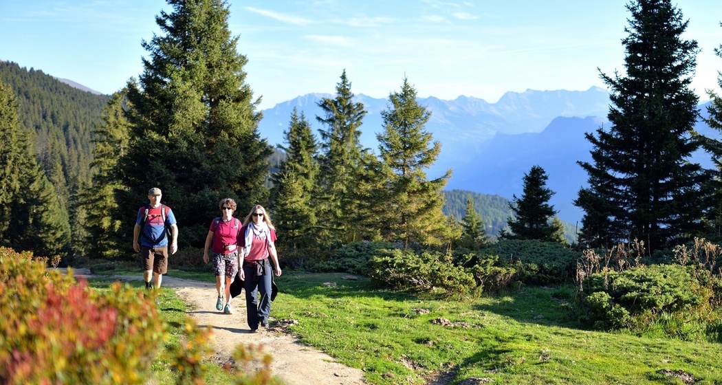 Dreibündenstein Erlebnisrodeln (Brambrüesch-Pradaschier-Churwalden) (oua_33368147_image)