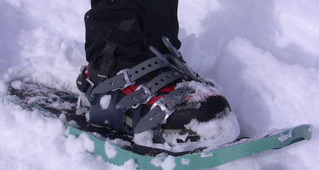 Schneeschuhtrail Löbbia - Nambrun (oua_33368250_image)