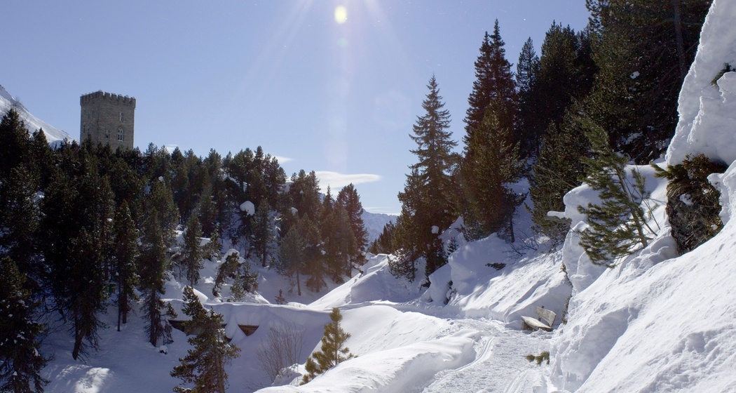 Maloja – idyllischer Rundweg um den Torre Belvedere (oua_33368354_image)