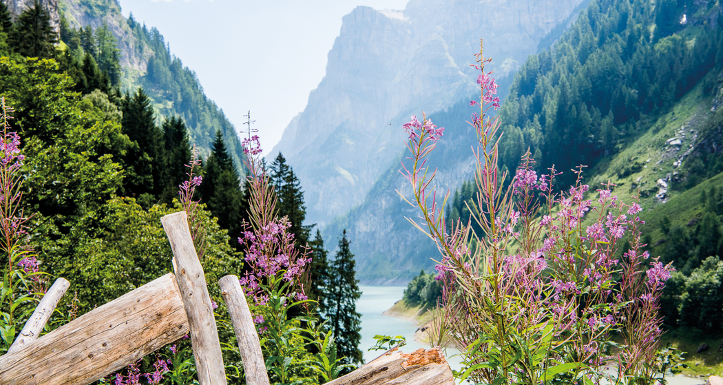 Blick auf den Gigerwald-Stausee
