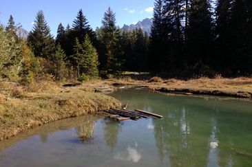 Feuerstelle Lais da Pesch (oua_33404826_image)