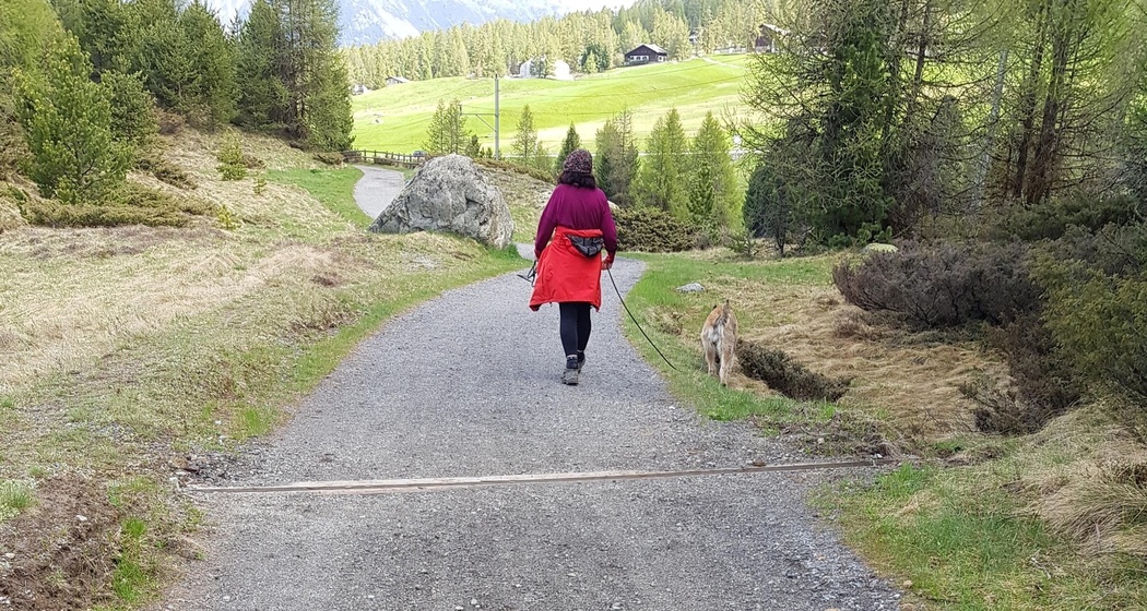 Qualität des Weges nahe Pontresina