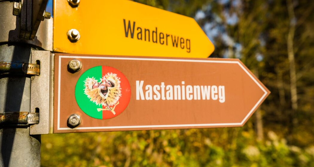 Der Kastanienweg ist gut beschildert