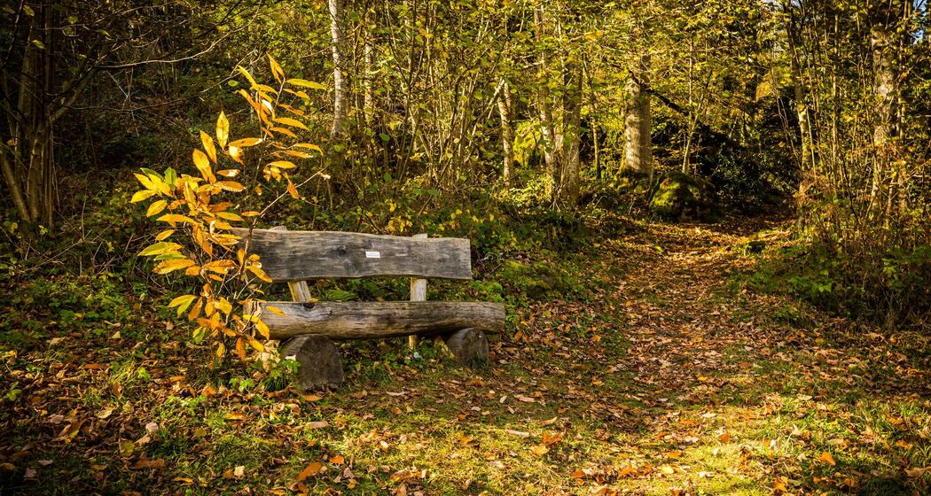 Ruhebänke auf dem Weg