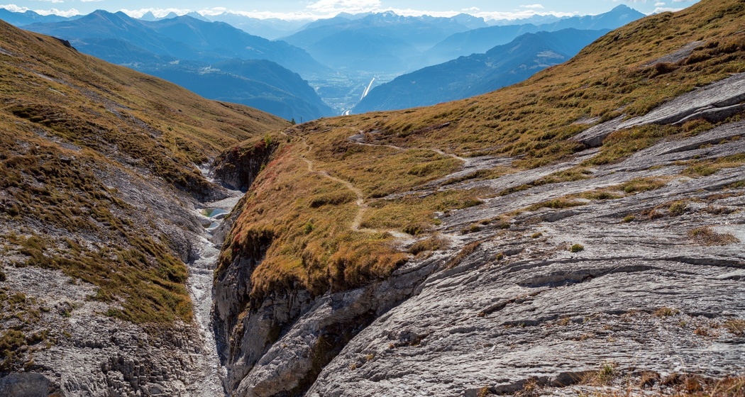 Alp Mora (oua_33412718_image)