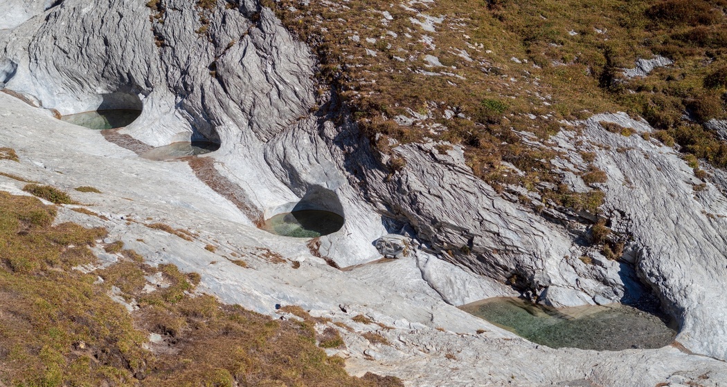 Alp Mora (oua_33412721_image)