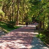 Caumasee tour: Flims - Caumasee - Conn - Flims (oua_33412820_image)