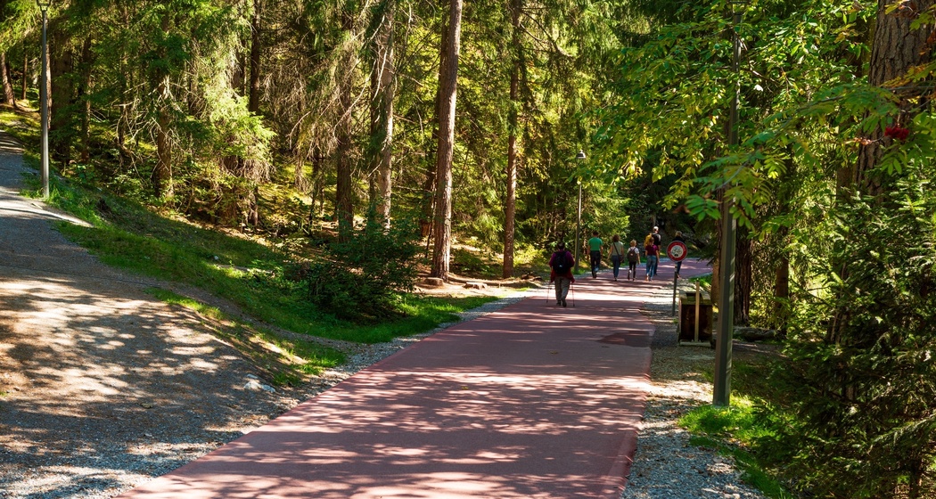 Caumasee Rundwanderung: Flims - Caumasee - Conn - Flims (oua_33412820_image)