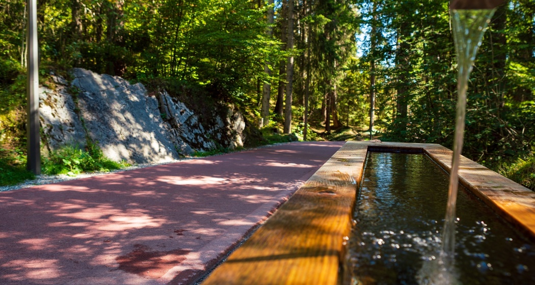 Caumasee Rundwanderung: Flims - Caumasee - Conn - Flims (oua_33412821_image)