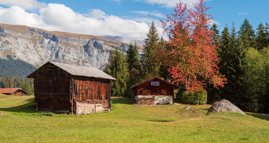 Höhenwanderung auf Planetenlehrpfad Falera - Murschetg (oua_33412869_image)