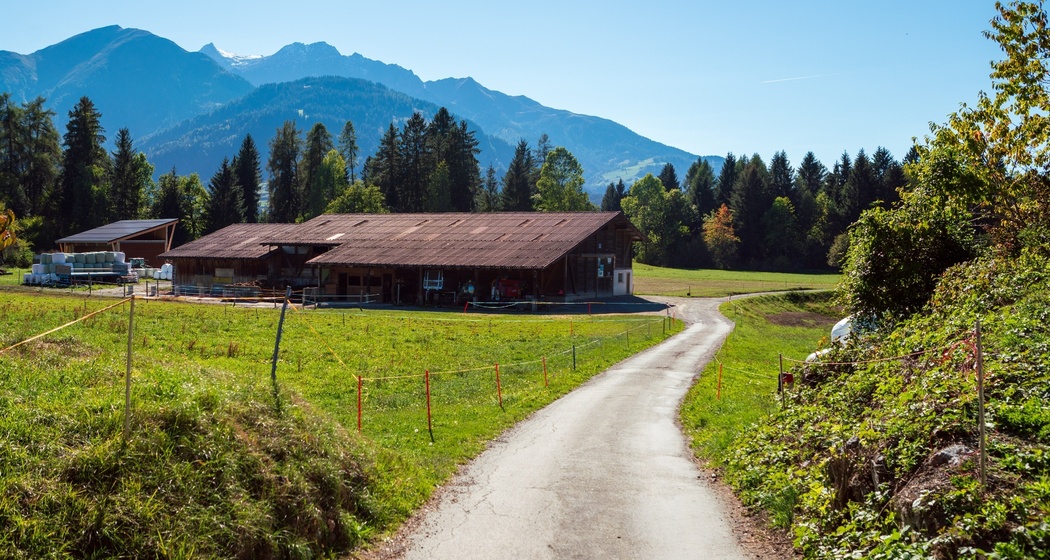 Rundwanderung: Trin Porclis (oua_33412930_image)