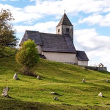 Crest da Tiarms (oua_33412964_image)