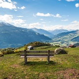 Crest da Tiarms (oua_33412975_image)