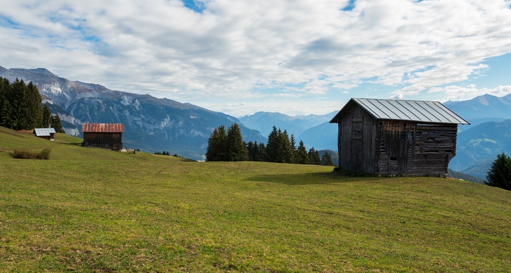 Crest da Tiarms (oua_33412979_image)