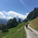 Weg entlag schöner Wiesen