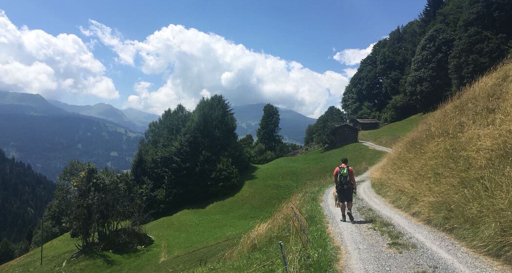 Weg entlag schöner Wiesen