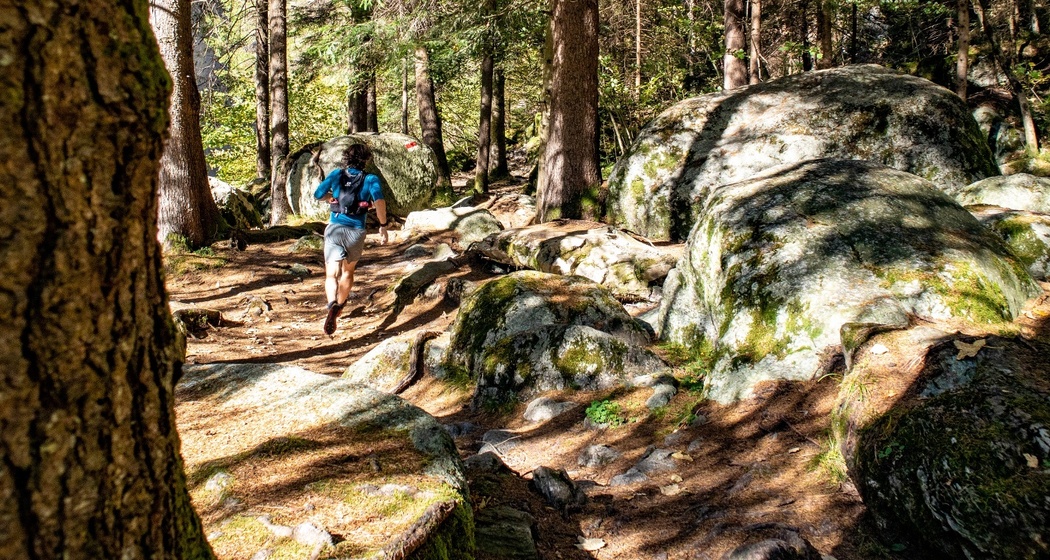 Abwechslungsreiche Trails