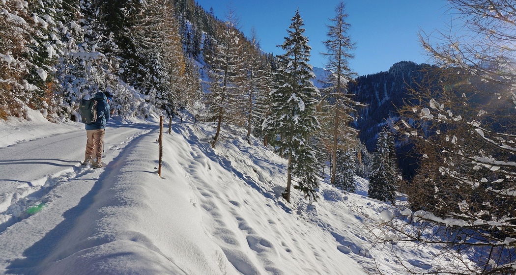 Samnaun-Compatsch – Mottas Lungas (W1) (oua_33451906_image)