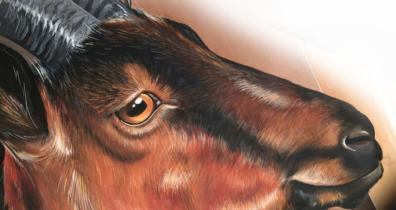 JB Design - Atelier, Flond Obersaxen