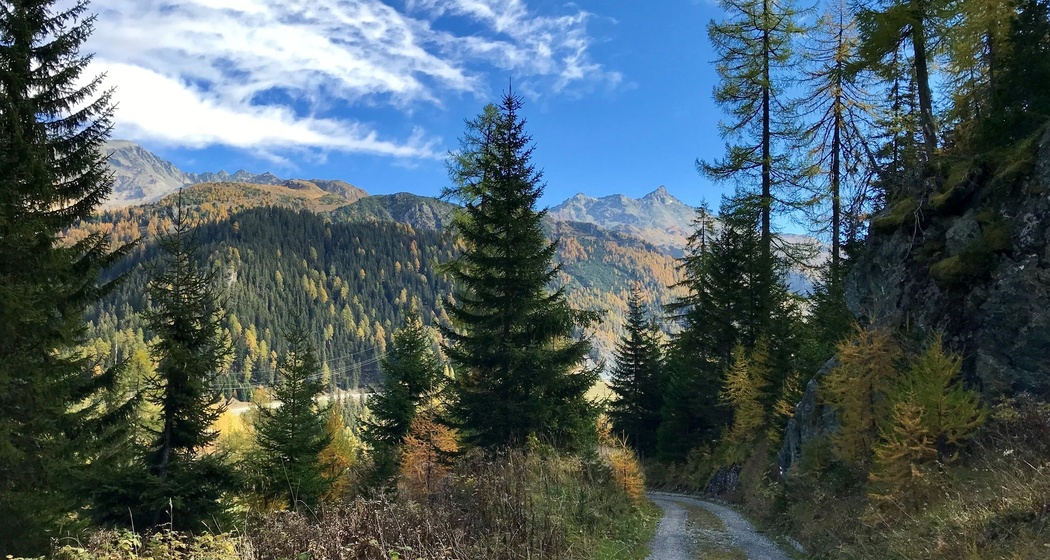 Val Faller E-Bike Tour (oua_33827975_image)