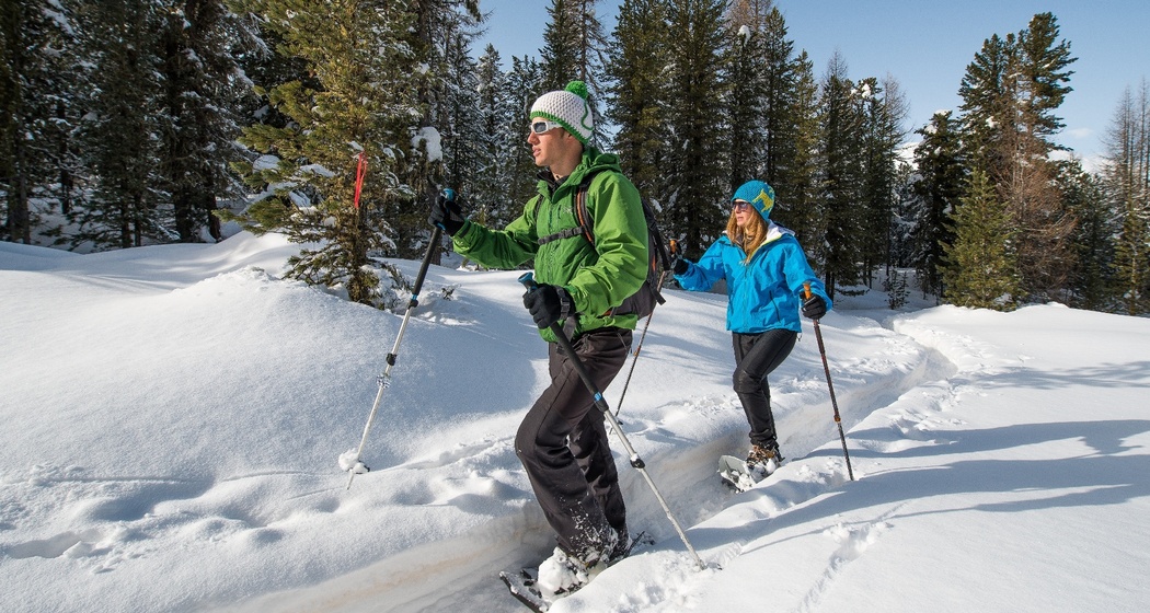 Schneeschuhtrail Plauns
