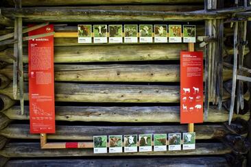 Bodästall "Kuh und Wiese" (oua_34053475_image)