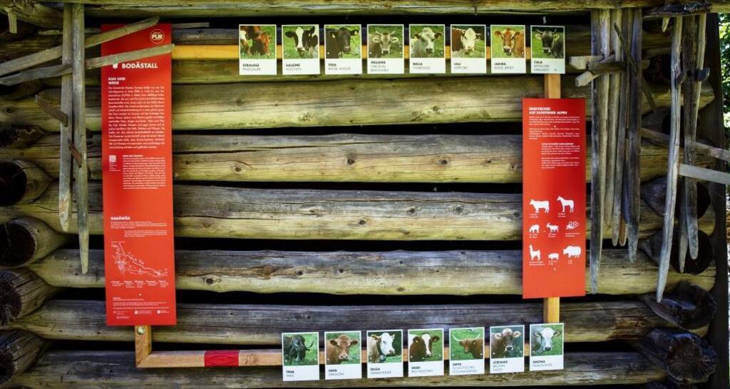 Bodästall "Kuh und Wiese" (oua_34053475_image)