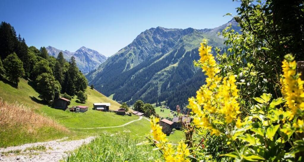 Gadäwäg Klosters (oua_34053514_image)