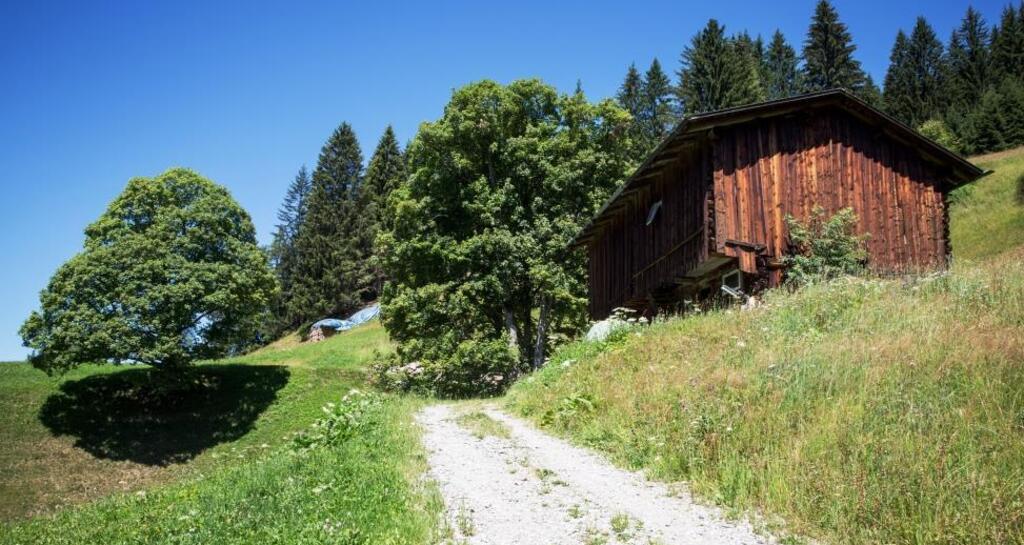 Gadäwäg Klosters (oua_34053515_image)