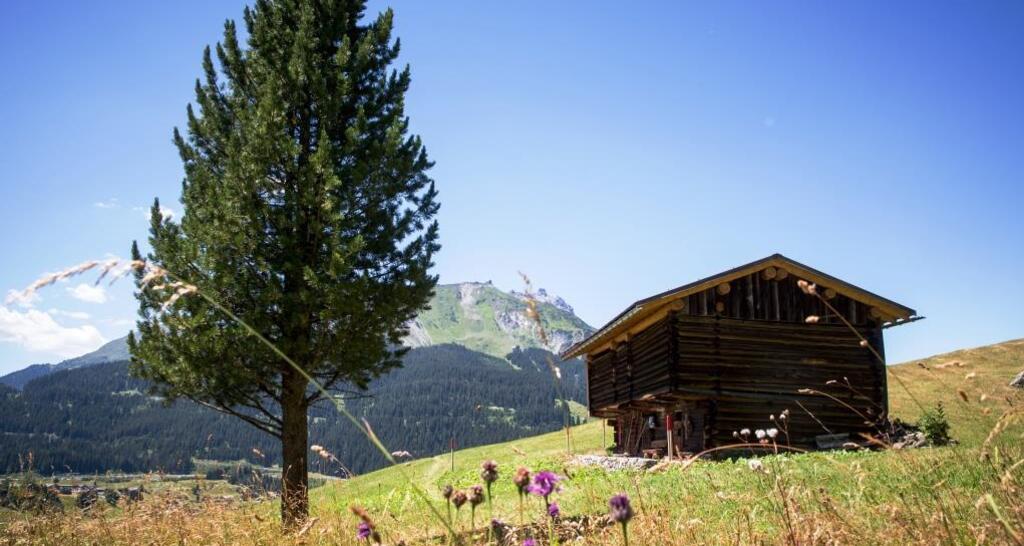 Gadäwäg Klosters (oua_34053517_image)