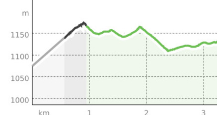 Strada – Chaflur – Martina (oua_34274123_2d1e268_profile)